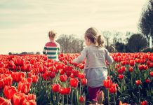 Készíts „tulipán-barát” selfie-t – kampány a tulipánföldek megóvásáért