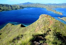 Komodo szigetét egy évre lezárhatják a turisták előtt