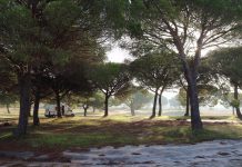 Nem csak a négy fal között “vanlife”- egy furgonlakó házaspár története Európa körül