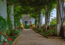 Villa San Michele – egy svéd orvos megvalósult álma Caprin