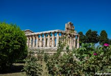 Görög emlékek Olaszországban – Paestum
