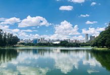 São Paulo – Dél-Amerika Berlinje több, mint szürke betondzsungel